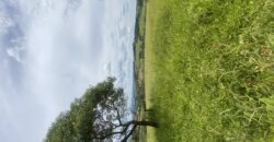 Belíssima Área Localizada na Fernão Dias !