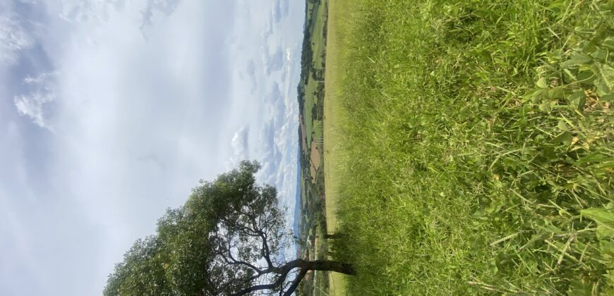 Belíssima Área Localizada na Fernão Dias !