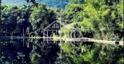 Oportunidade de Investimento!