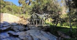 Oportunidade de Investimento!