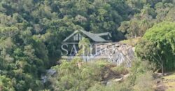 Oportunidade de Investimento!