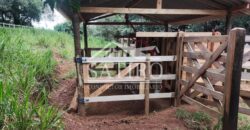 Oportunidade de Investimento, Chácara a Venda!