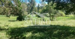 Oportunidade de Investimento, Chácara a Venda!