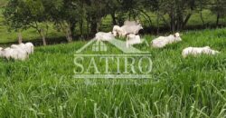 Oportunidade de Investimento, Chácara a Venda!