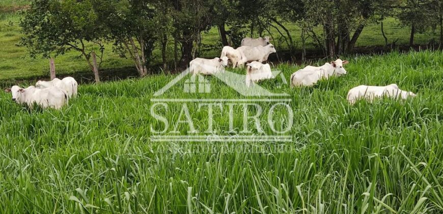 Oportunidade de Investimento, Chácara a Venda!