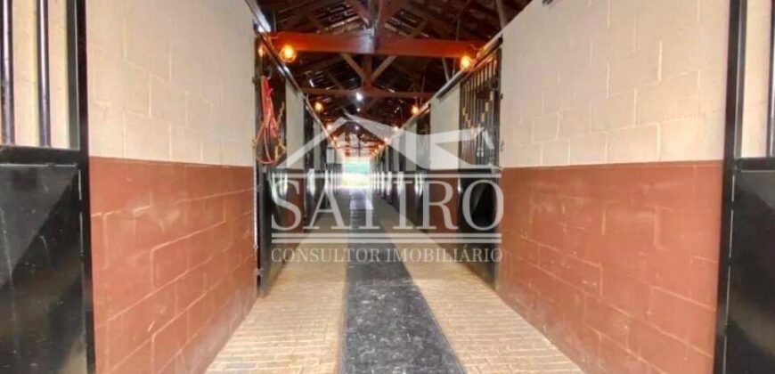 ATENÇÃO…ARAS A VENDA NA REGIÃO DE POUSO ALEGRE!