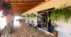 ATENÇÃO…ARAS A VENDA NA REGIÃO DE POUSO ALEGRE!