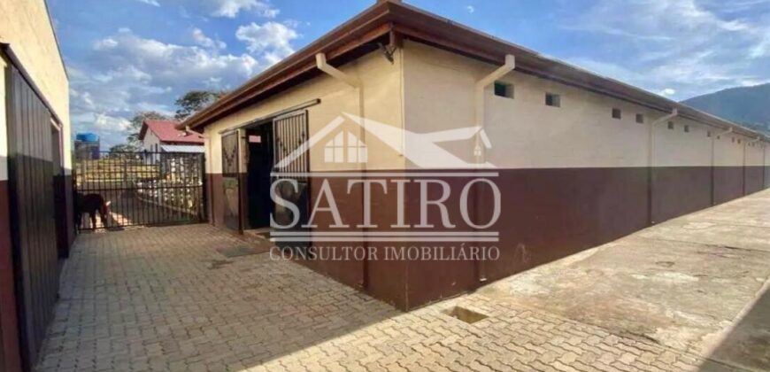 ATENÇÃO…ARAS A VENDA NA REGIÃO DE POUSO ALEGRE!