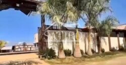 ATENÇÃO…ARAS A VENDA NA REGIÃO DE POUSO ALEGRE!