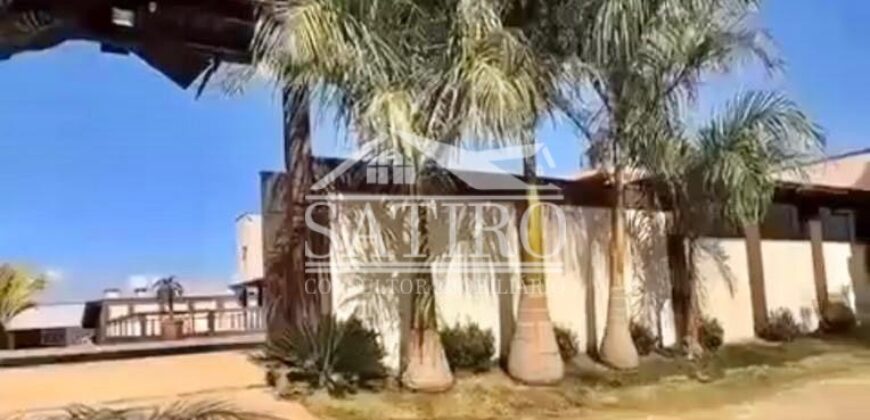 ATENÇÃO…ARAS A VENDA NA REGIÃO DE POUSO ALEGRE!